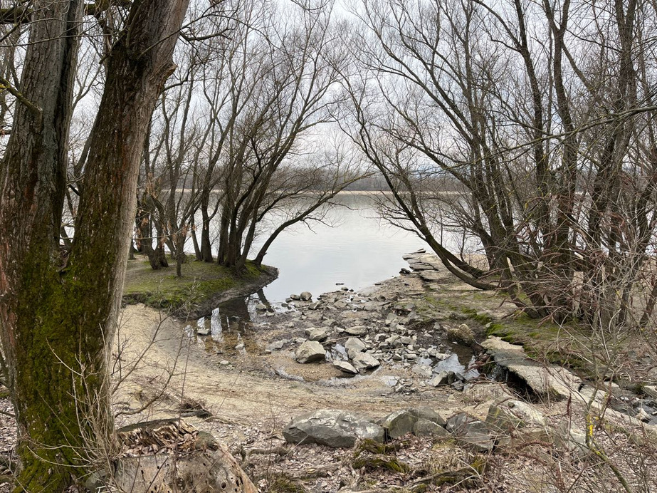 Dunakeszi