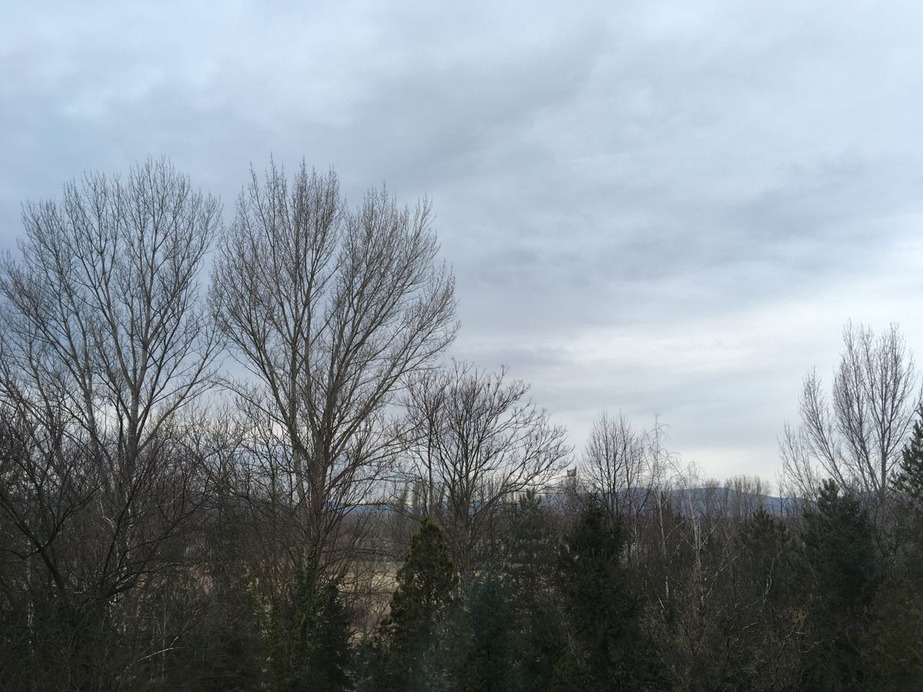 Dunakeszi