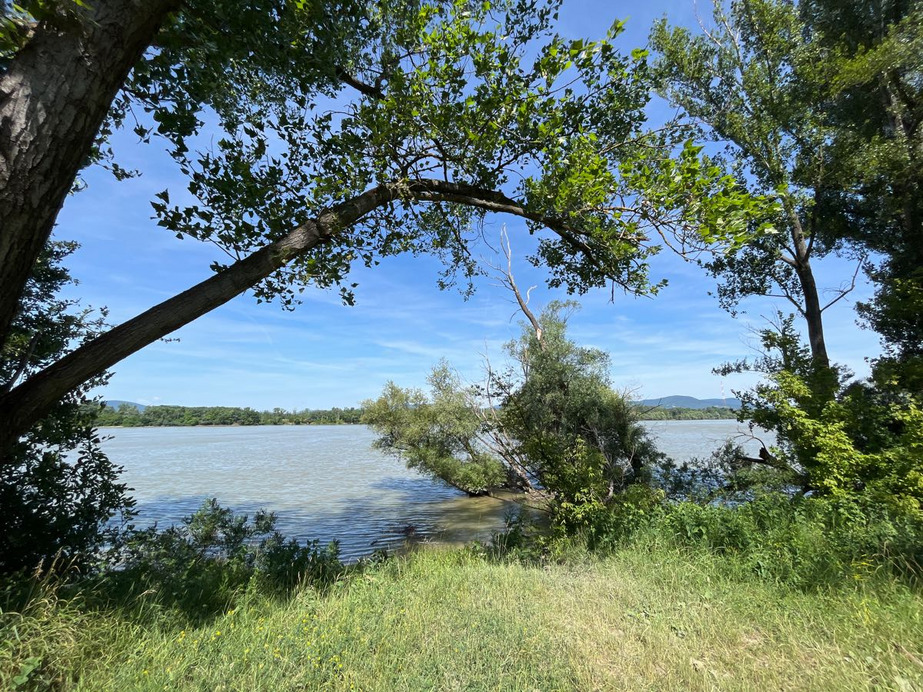 Dunakeszi