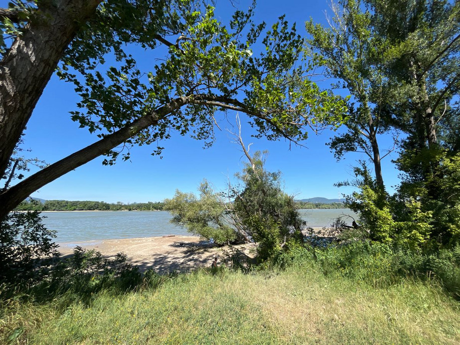 Dunakeszi