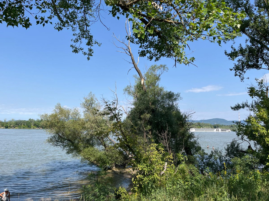 Dunakeszi