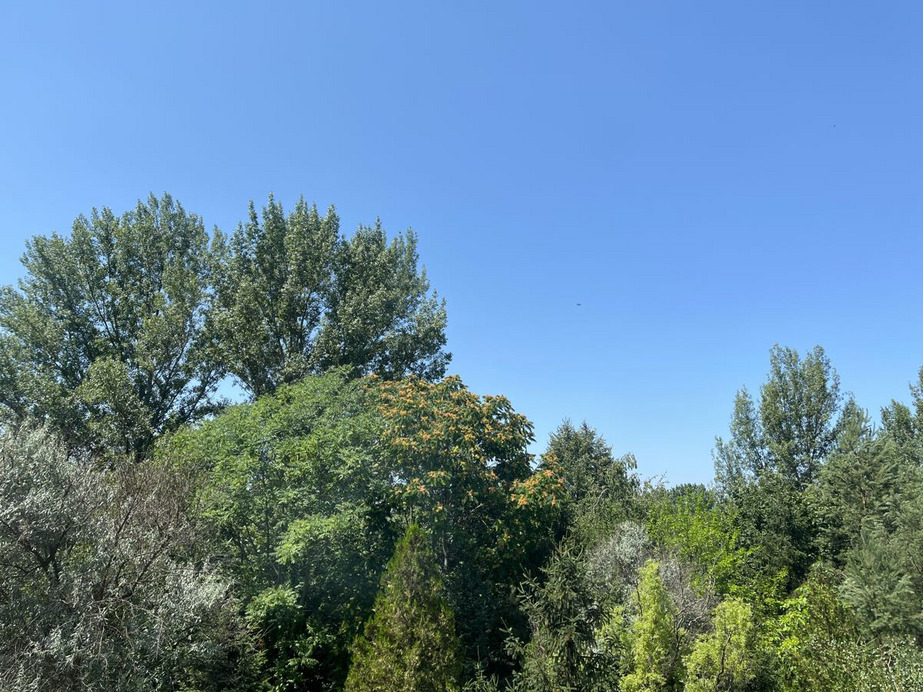 Dunakeszi
