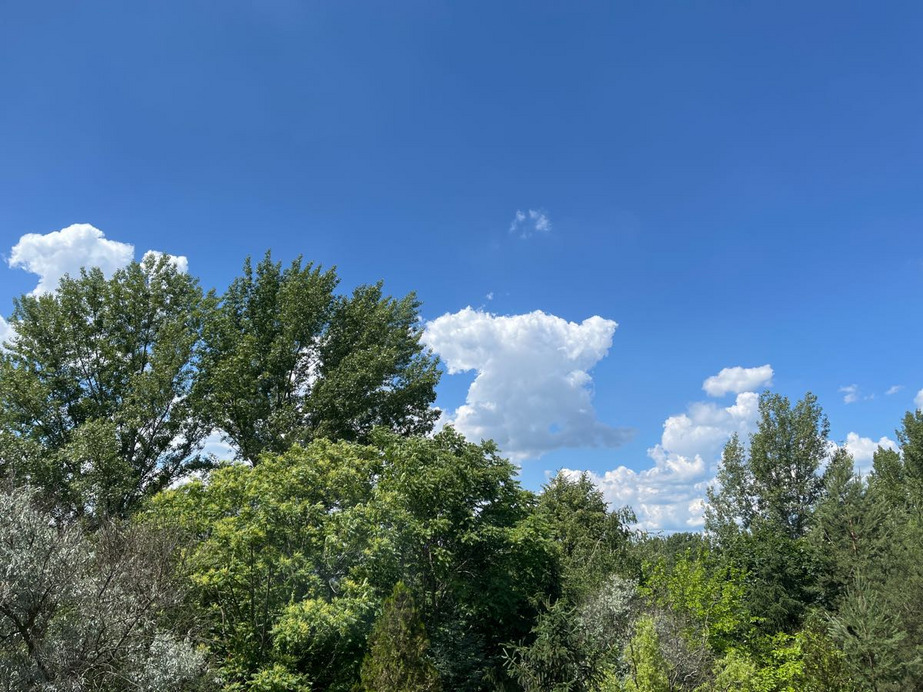 Dunakeszi