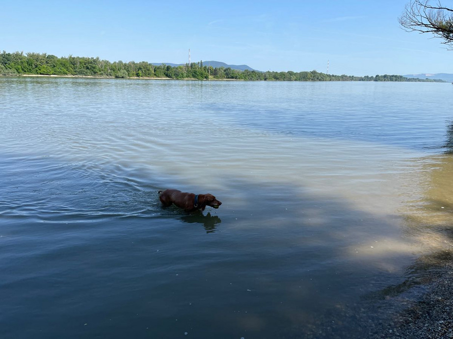 Dunakeszi