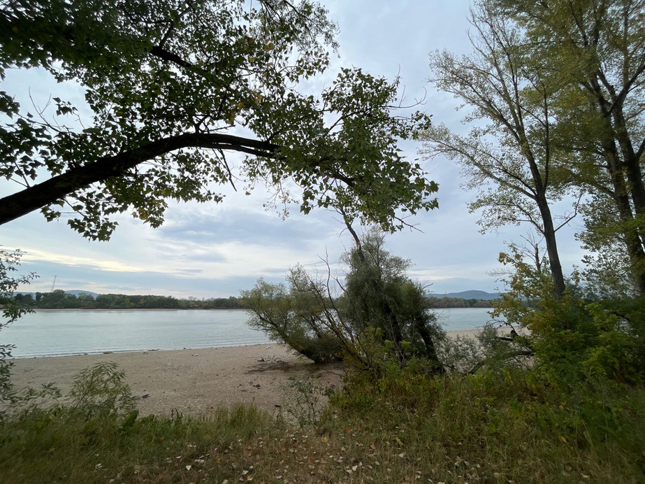 Dunakeszi