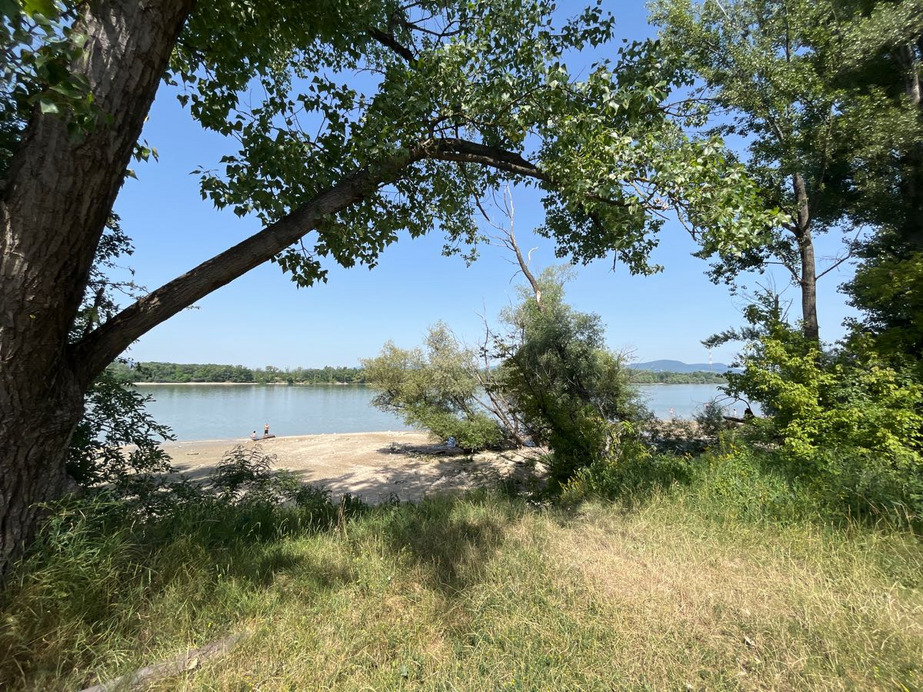 Dunakeszi
