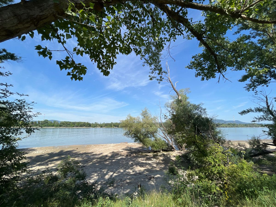 Dunakeszi