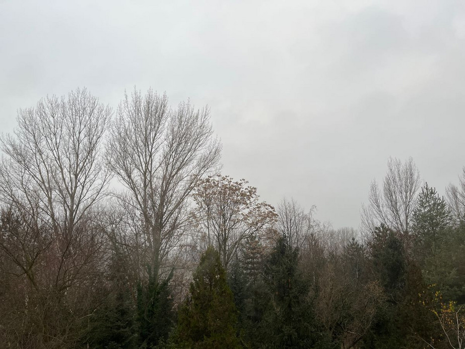 Dunakeszi