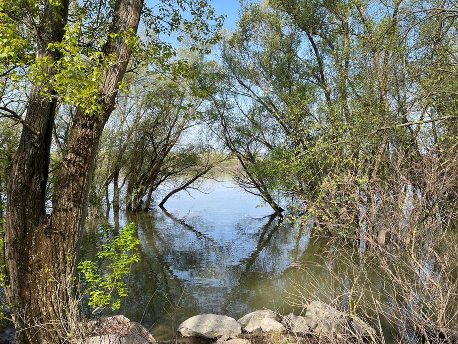Dunakeszi