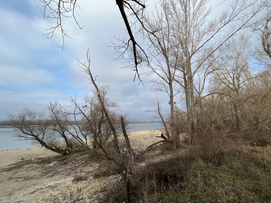 Dunakeszi
