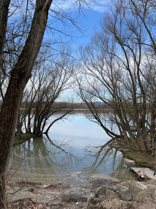 Dunakeszi