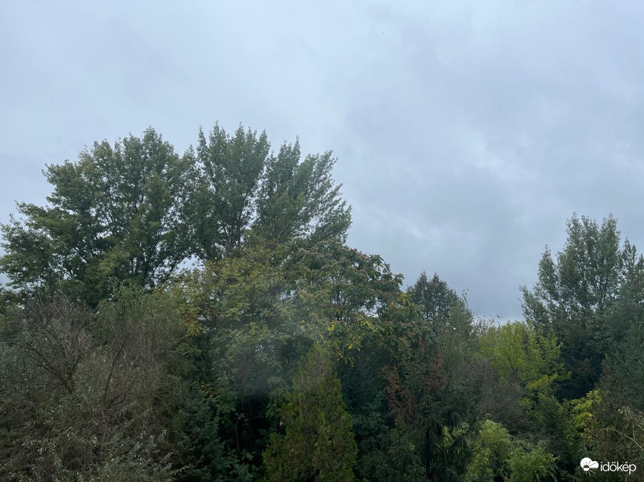 Dunakeszi