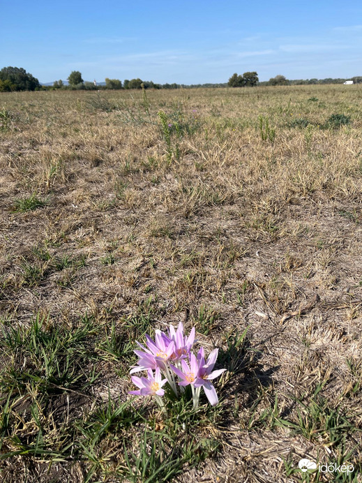 Esztergom