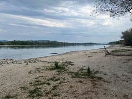 Dunakeszi