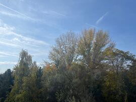 Dunakeszi