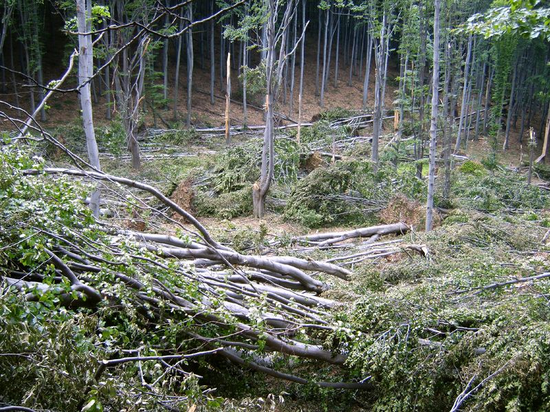 2007.jún.23-a után 