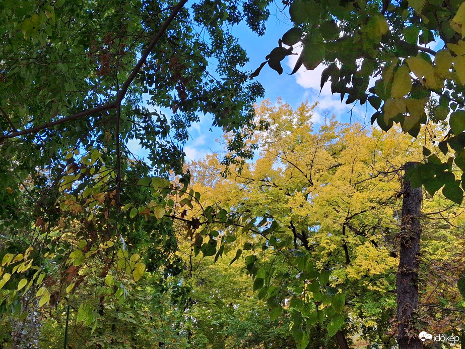 Egy kicsit sütött, egy  kicsit  borúlt, egy kicsit  fújt, a Margitszigeten a az óazi levegő. :)