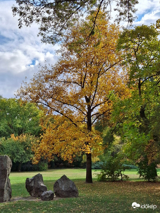 Egy kicsit sütött, egy  kicsit  borúlt, egy kicsit  fújt, a Margitszigeten a az óazi levegő. :)