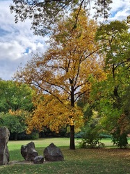 Egy kicsit sütött, egy  kicsit  borúlt, egy kicsit  fújt, a Margitszigeten a az óazi levegő. :)