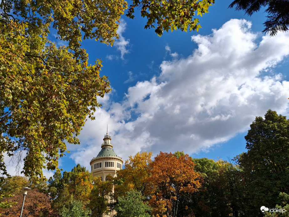 Egy kicsit sütött, egy  kicsit  borúlt, egy kicsit  fújt, a Margitszigeten a az óazi levegő. :)