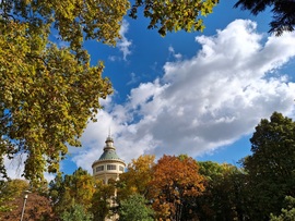 Egy kicsit sütött, egy  kicsit  borúlt, egy kicsit  fújt, a Margitszigeten a az óazi levegő. :)