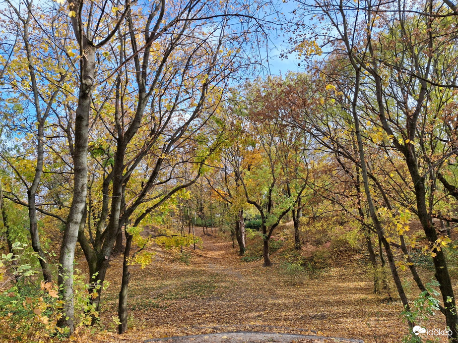 Séta az őszi virágok között