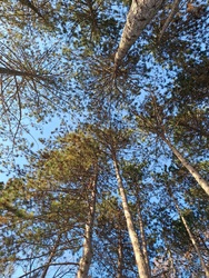 Januári első lépések a Margitszugeten, avagy repülés? :D 