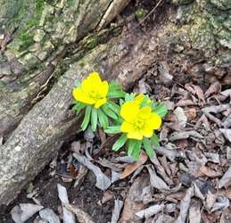 Párosan szép az élet!