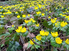 Lesz tél temetés, vagy  nem? 