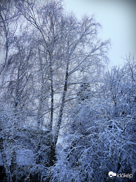 Megérkezett 1.