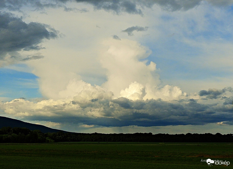 A határban