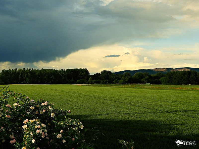 A határban 