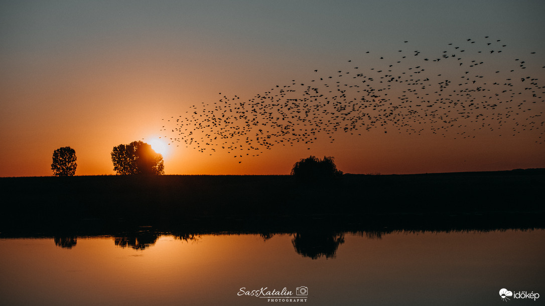 Flying into the golden hour