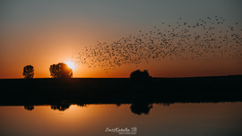 Flying into the golden hour