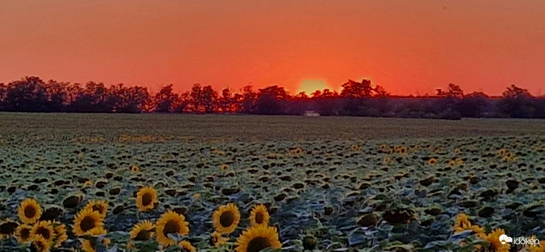 Pusztazámor