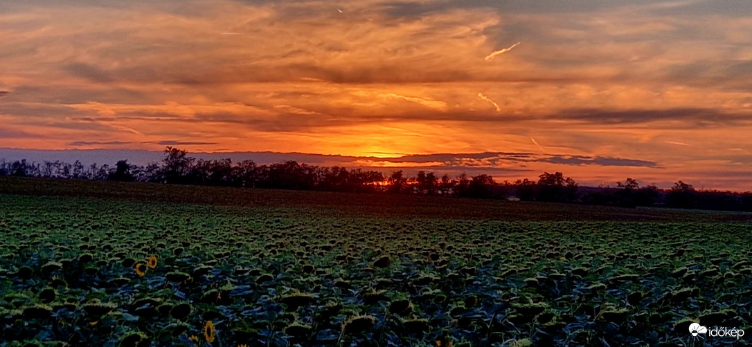 Pusztazámor