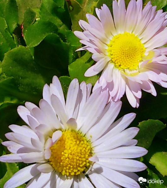 Lehetek én is szép ?!