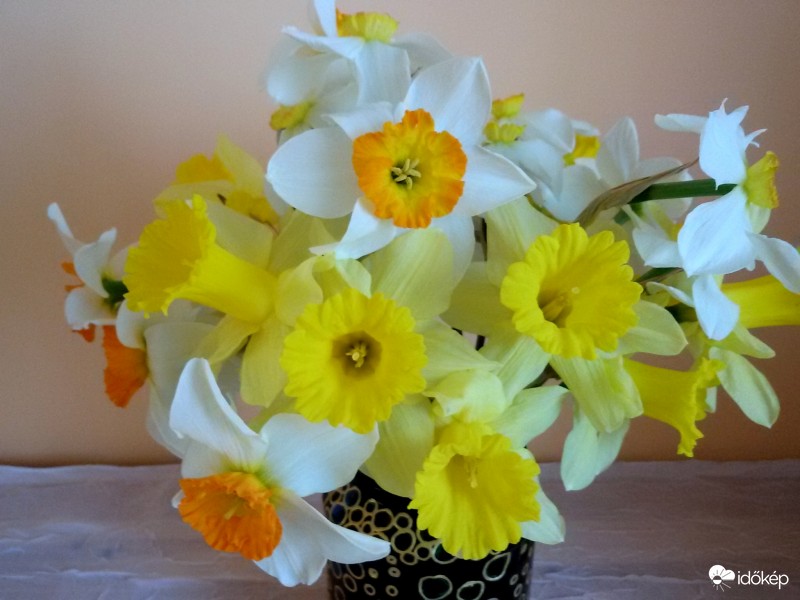 Bemenekített csokor