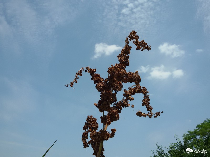 Jászsági ijesztgetős :)