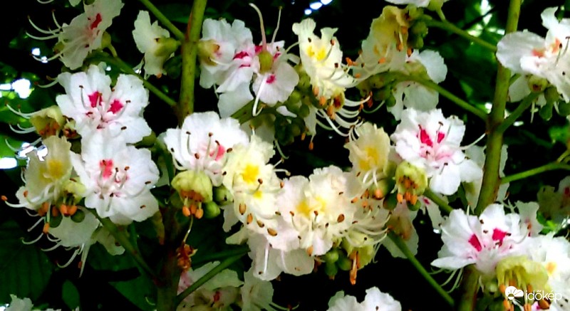 " Viágok közt...."