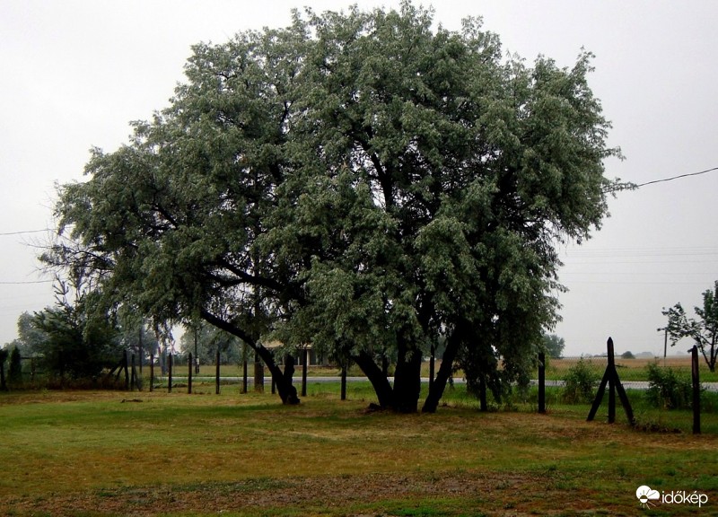 Szemerkélő esőben is jó