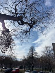 Budapest X.ker - Téglagyárdűlő