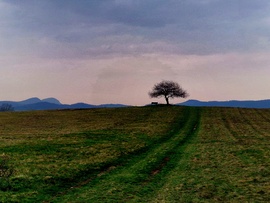 Vackorfa a tanúhegyekkel