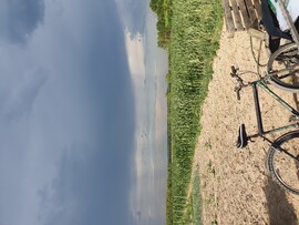 Beregsurány