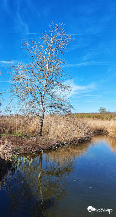 Sóstó - részlet II.