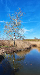 Sóstó - részlet II.