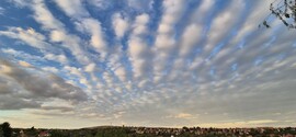 Pécs