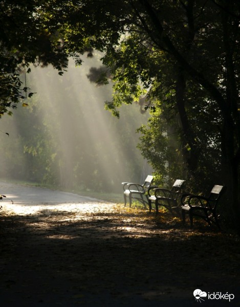 Gödöllő, 2015. október