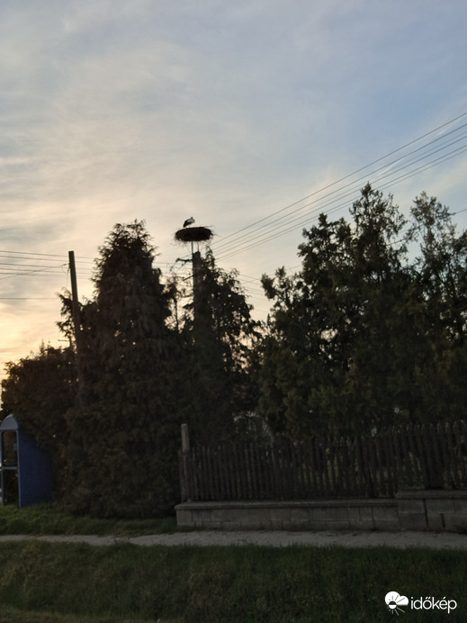 Külsővat