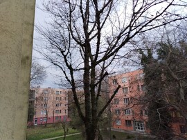 Kecskemét